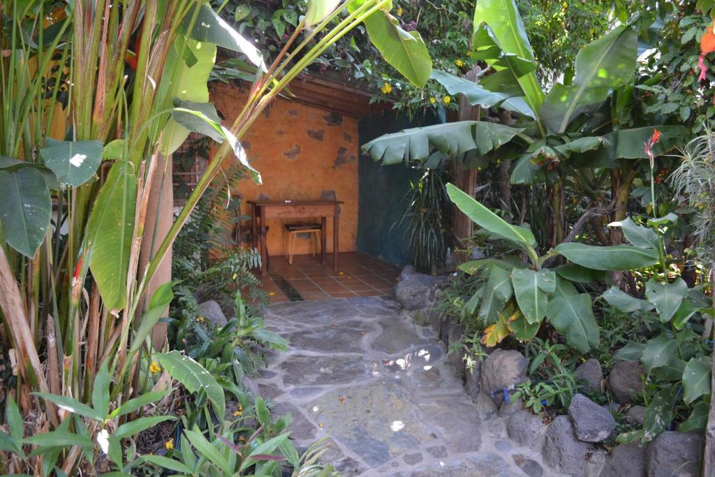 El Porvenir Hostel Los Llanos De Aridane Bilik gambar