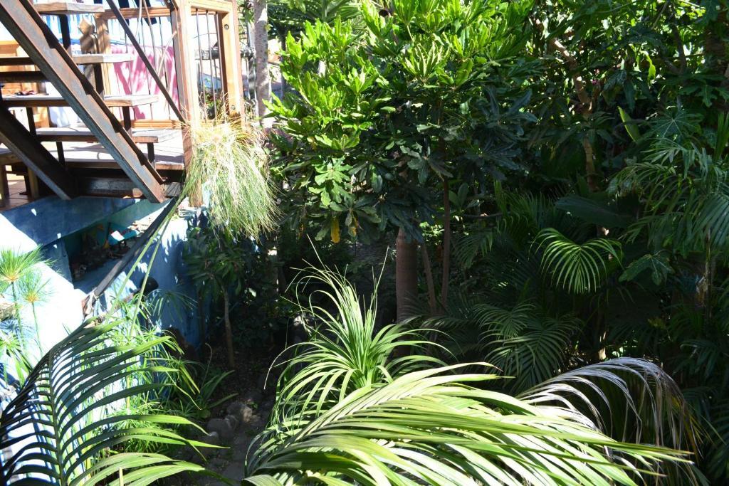 El Porvenir Hostel Los Llanos De Aridane Luaran gambar